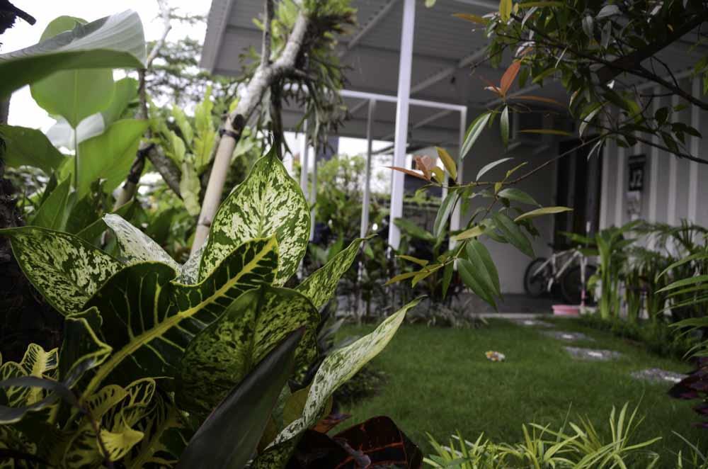 Beluran Serene Guesthouse Tabanan  Luaran gambar