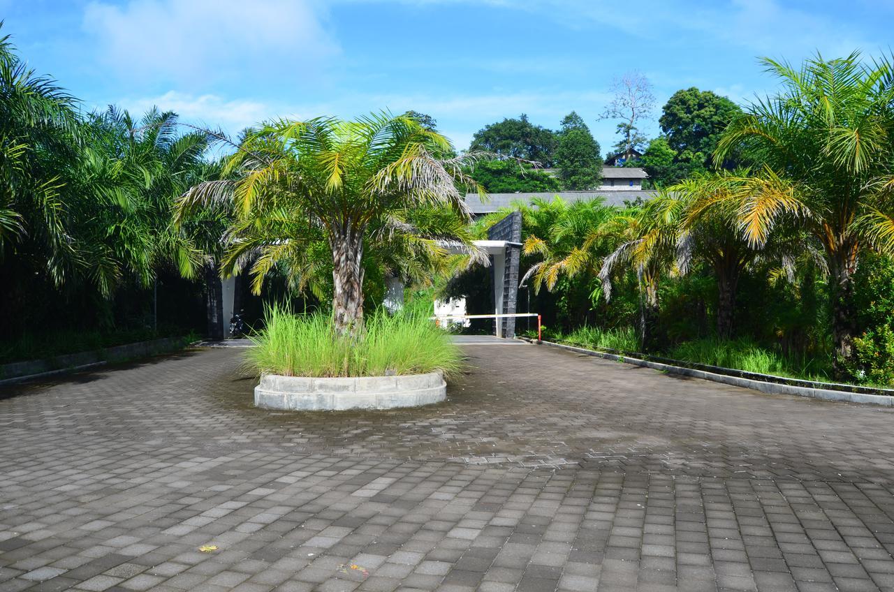 Beluran Serene Guesthouse Tabanan  Luaran gambar