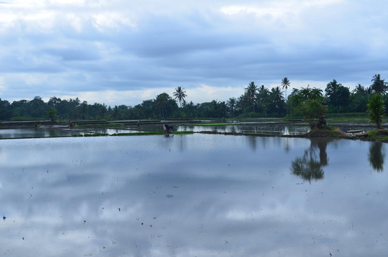 Beluran Serene Guesthouse Tabanan  Luaran gambar